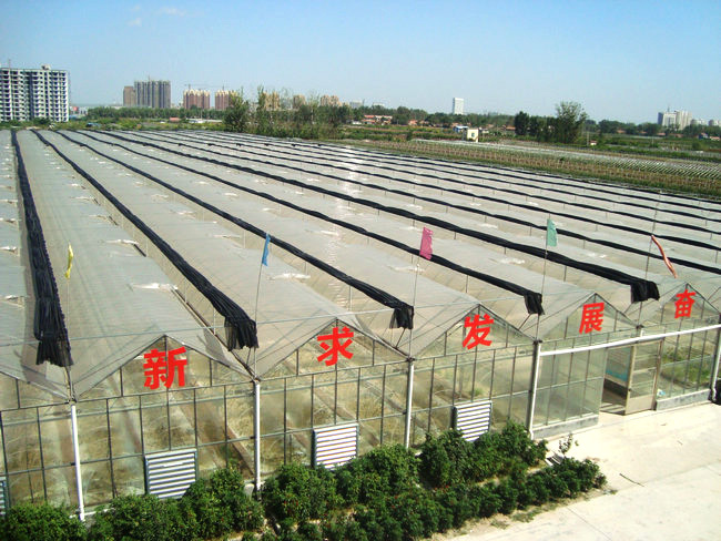 廠(chǎng)區(qū)廠(chǎng)房10