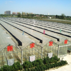 廠(chǎng)區(qū)廠(chǎng)房